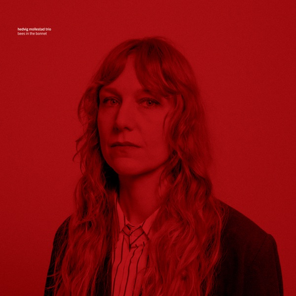 Album cover for Bees in the Bonnet by Hedvig Mollestad Trio
